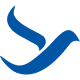 Airline Logo